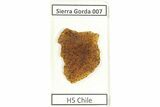 Chondrite Meteorite ( g) Section - Sierra Gorda #265976-1